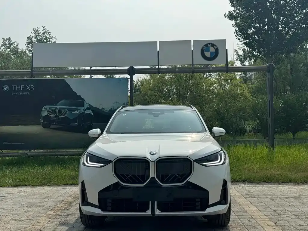 BMW X3 — фото 10
