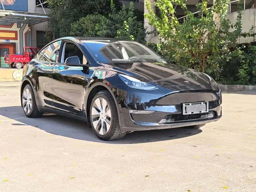 Tesla Model Y — фото 9