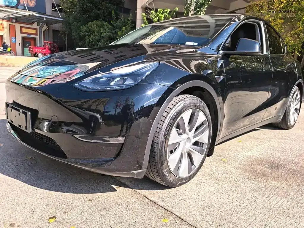 Tesla Model Y — фото 8