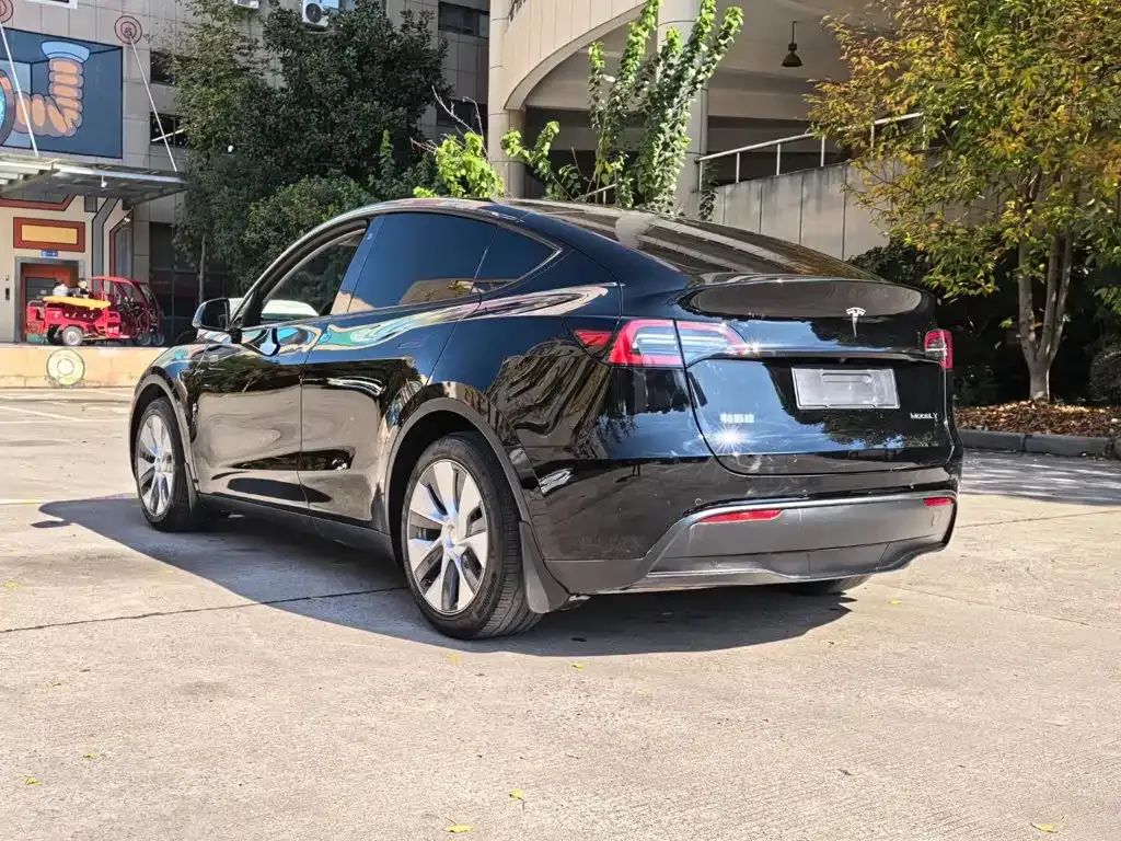 Tesla Model Y — фото 10