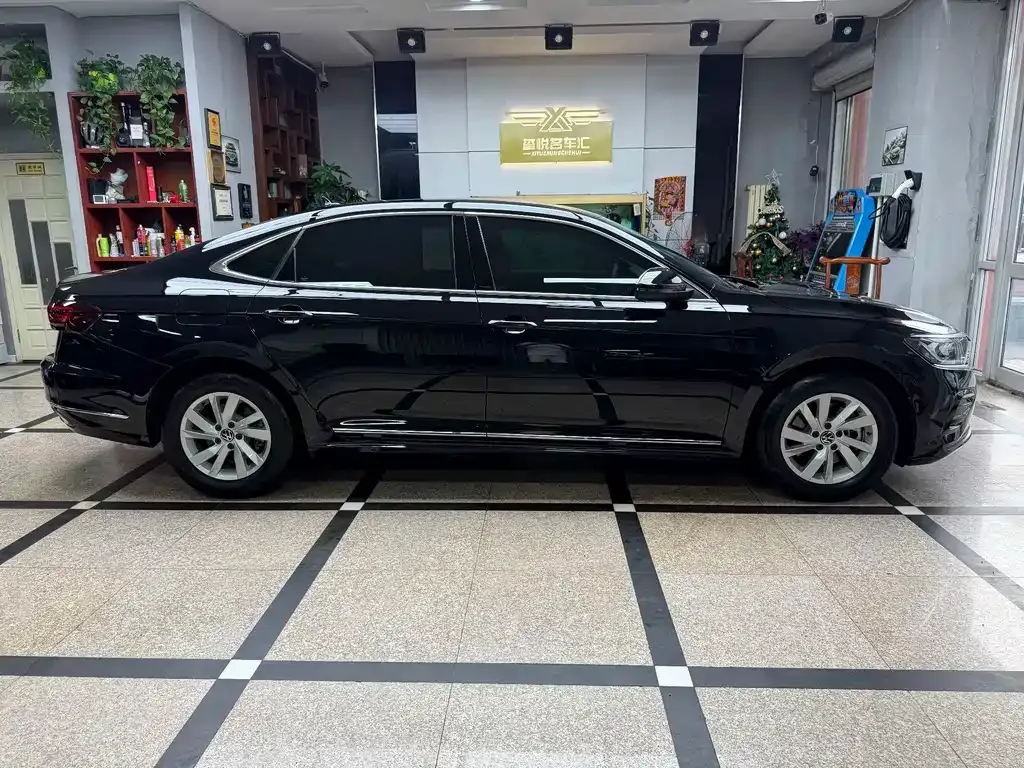 Volkswagen Passat — фото 10