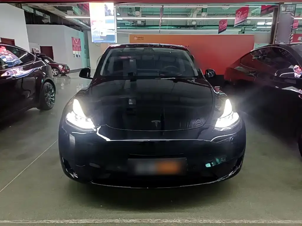 Tesla Model Y — фото 2