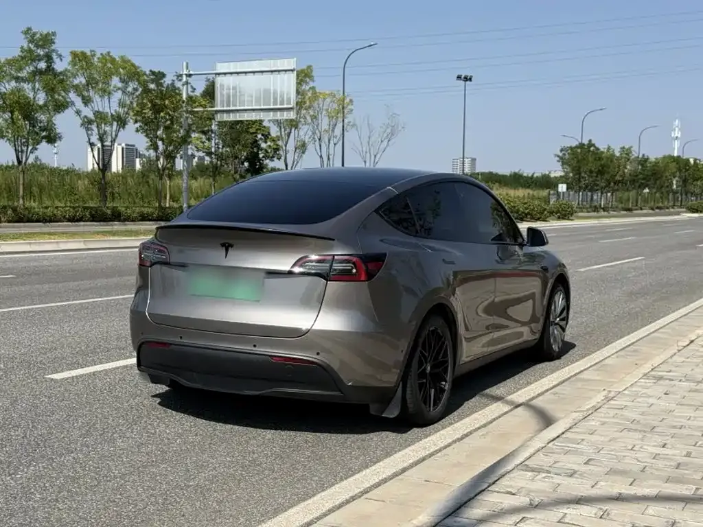 Tesla Model Y — фото 2