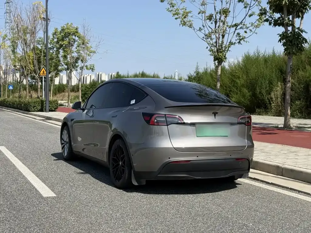 Tesla Model Y — фото 10