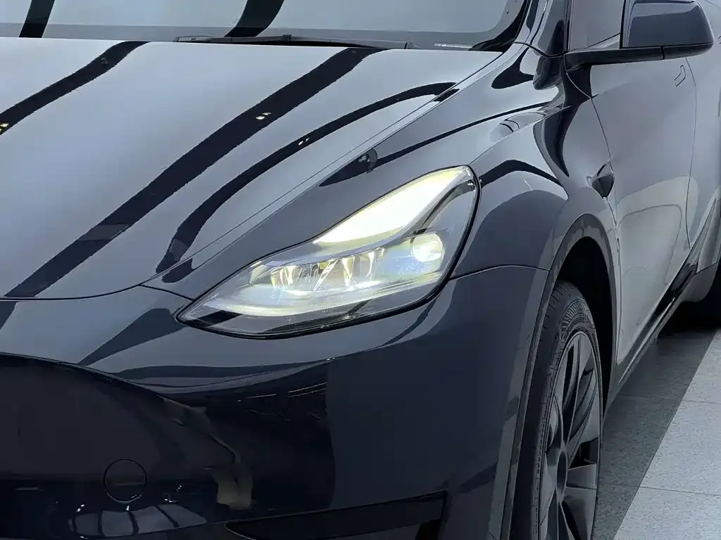 Tesla Model Y — фото 10
