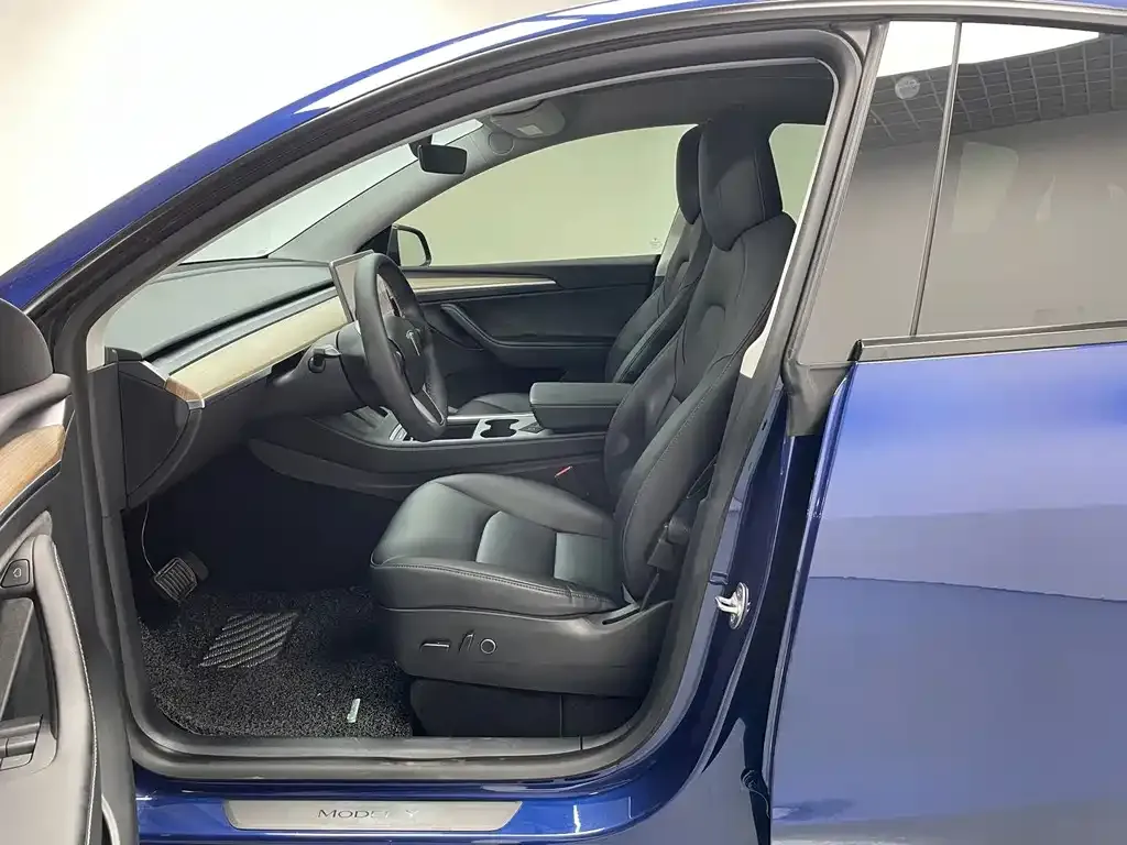 Tesla Model Y — фото 10