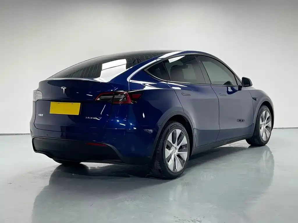 Tesla Model Y — фото 8