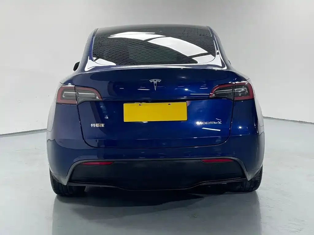 Tesla Model Y — фото 9