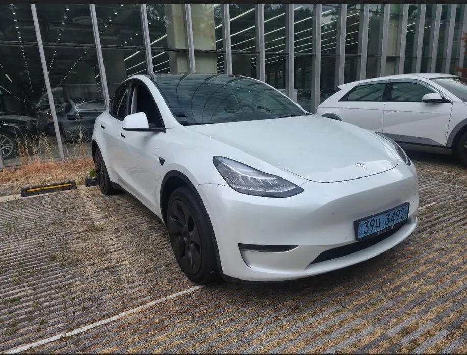 Tesla Model Y — фото 1