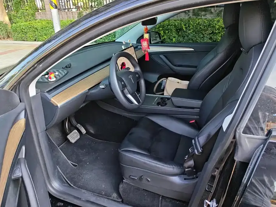 Tesla Model Y — фото 10