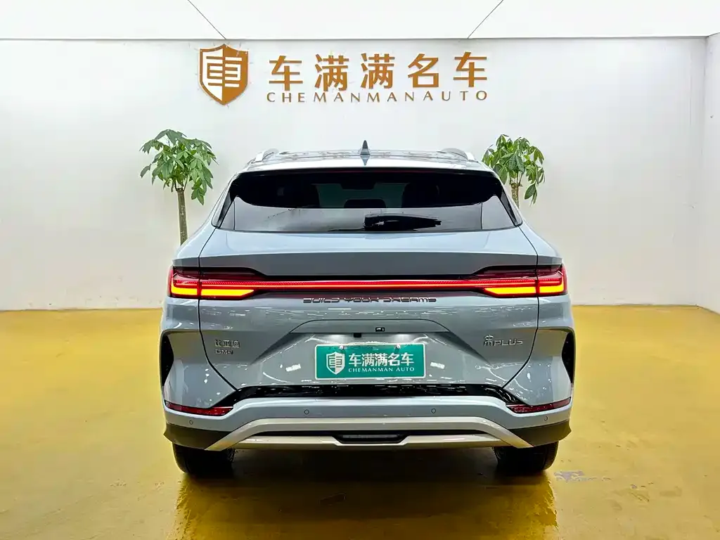 BYD PLUS New Energy — фото 10