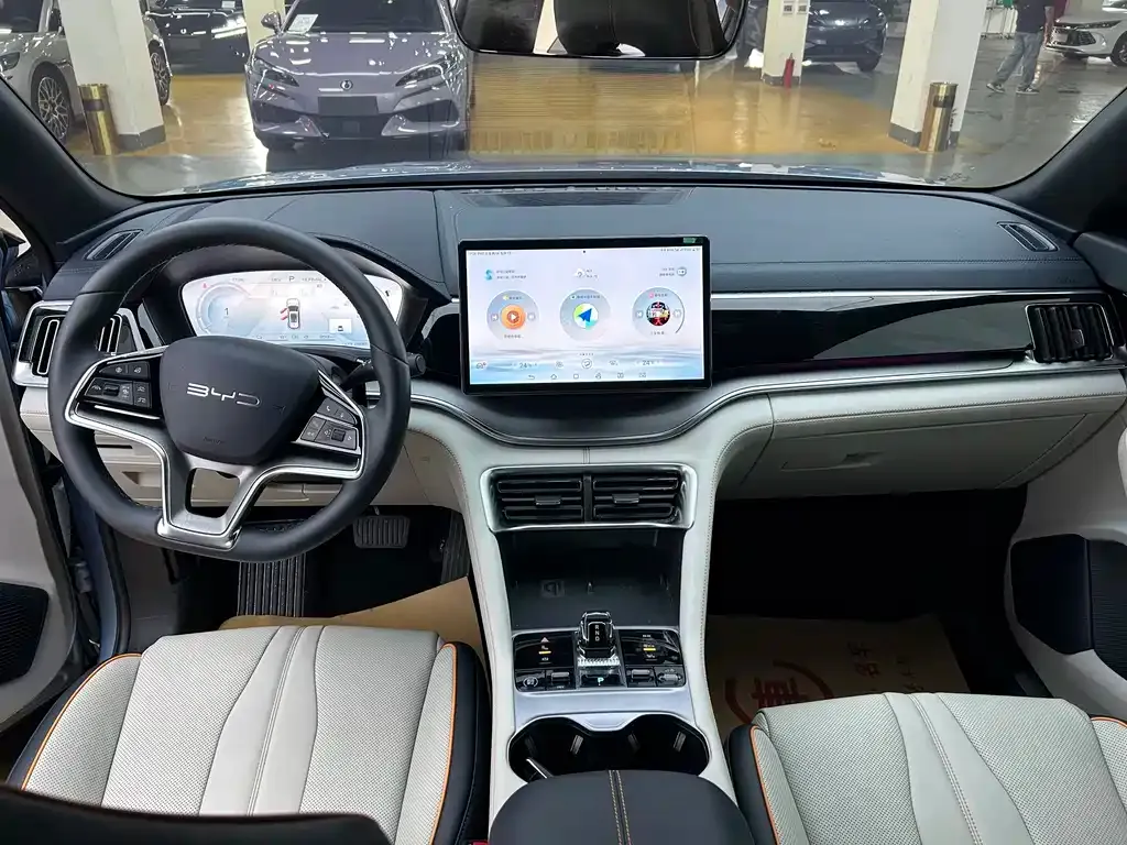 BYD PLUS New Energy — фото 4