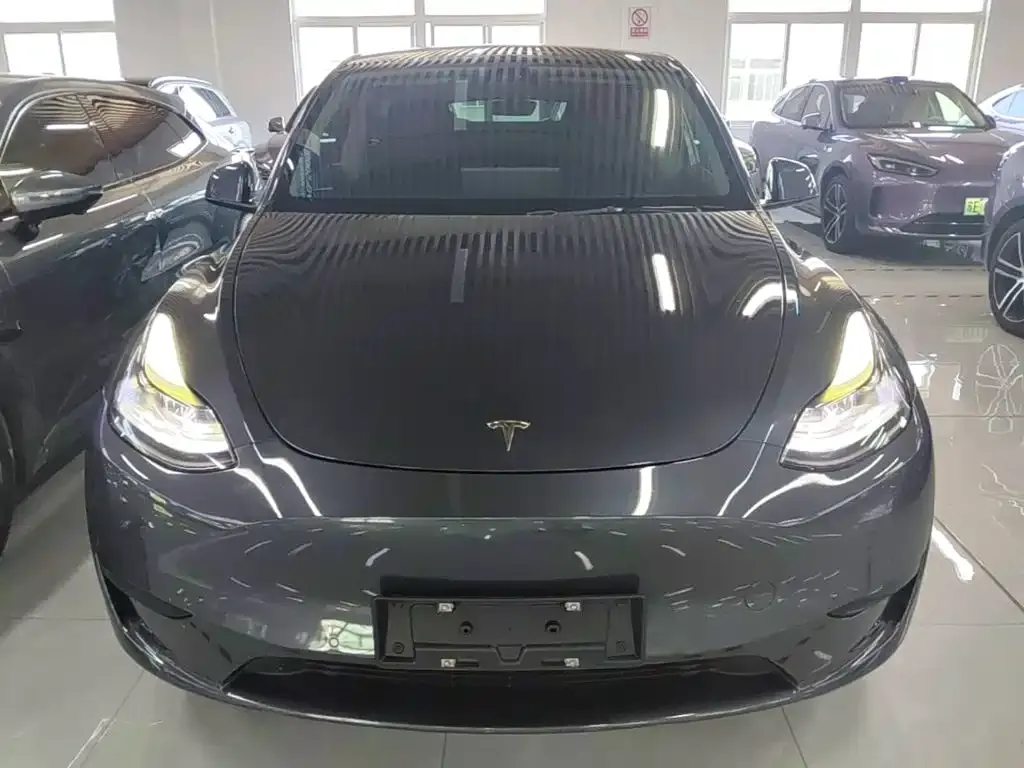 Tesla Model Y — фото 10