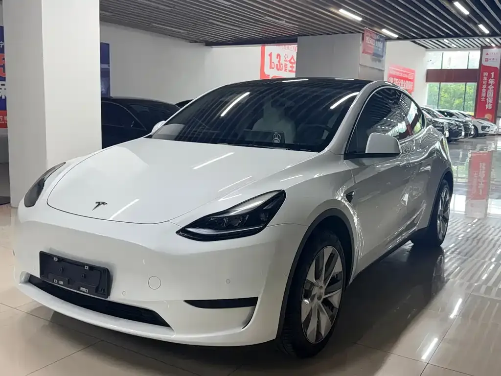 Tesla Model Y — фото 1