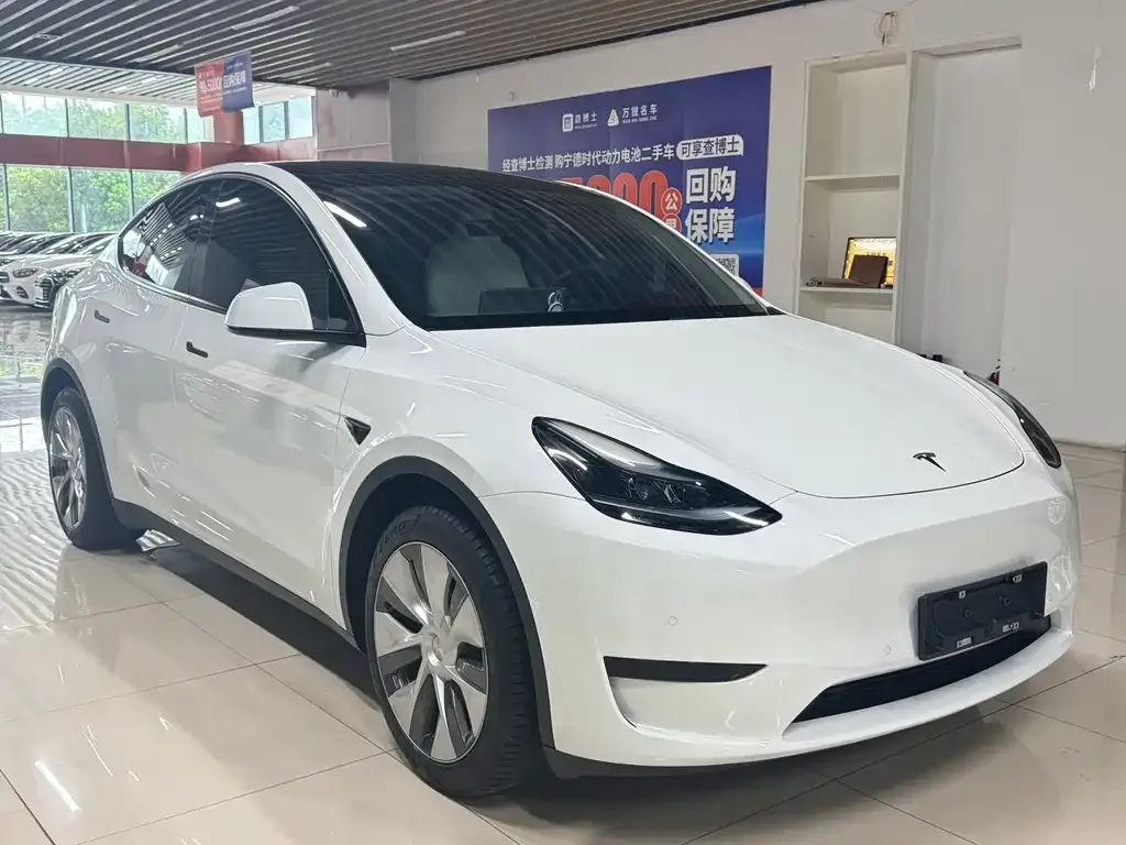 Tesla Model Y — фото 9