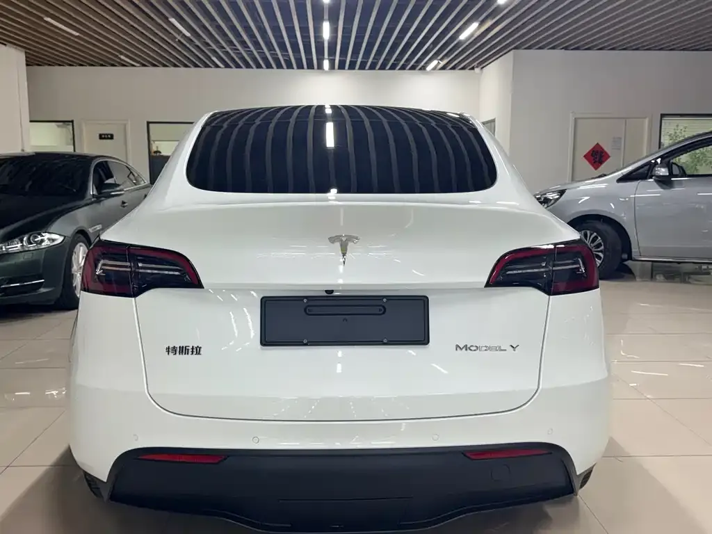 Tesla Model Y — фото 2