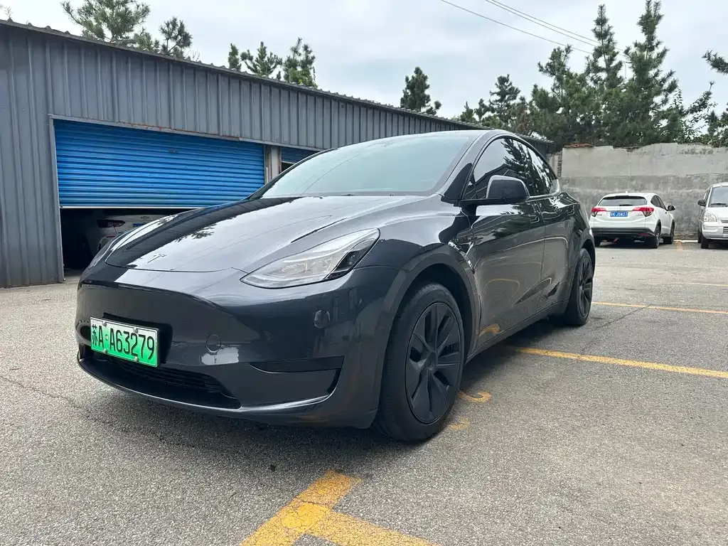 Tesla Model Y — фото 1