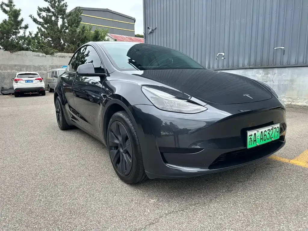 Tesla Model Y — фото 8