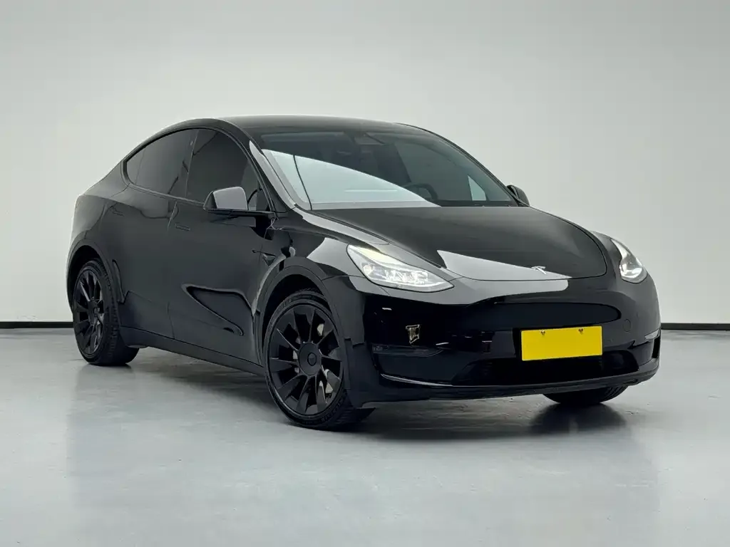 Tesla Model Y — фото 10
