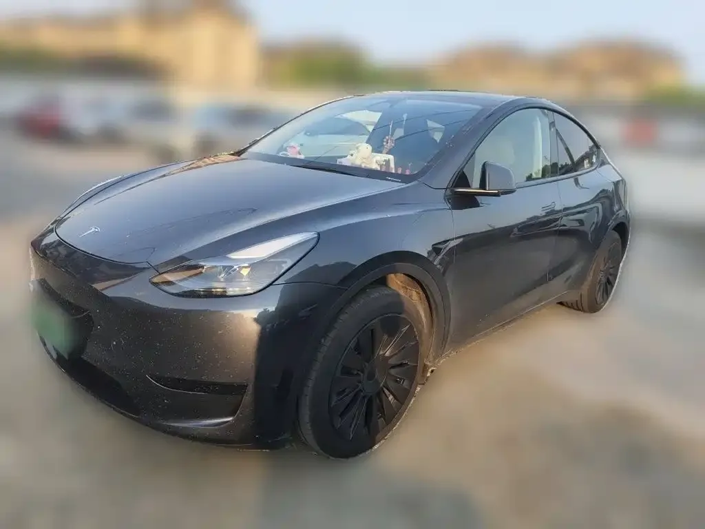 Tesla Model Y — фото 4