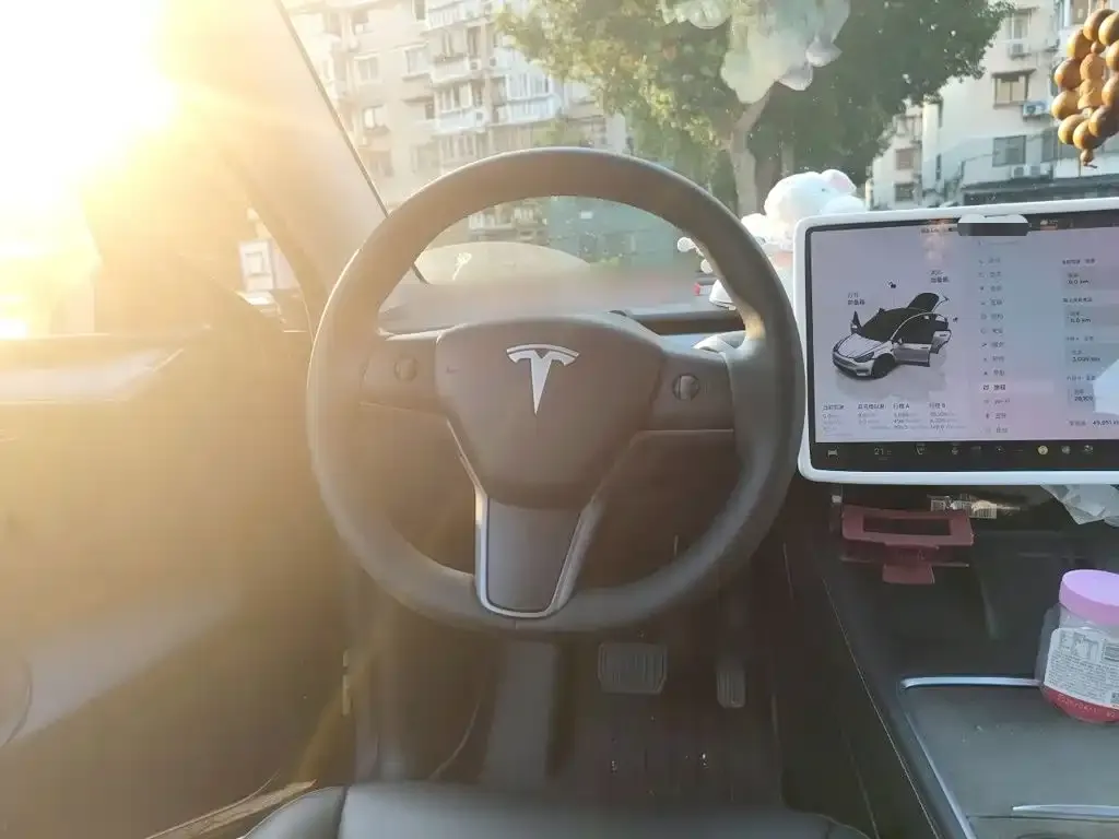 Tesla Model Y — фото 8
