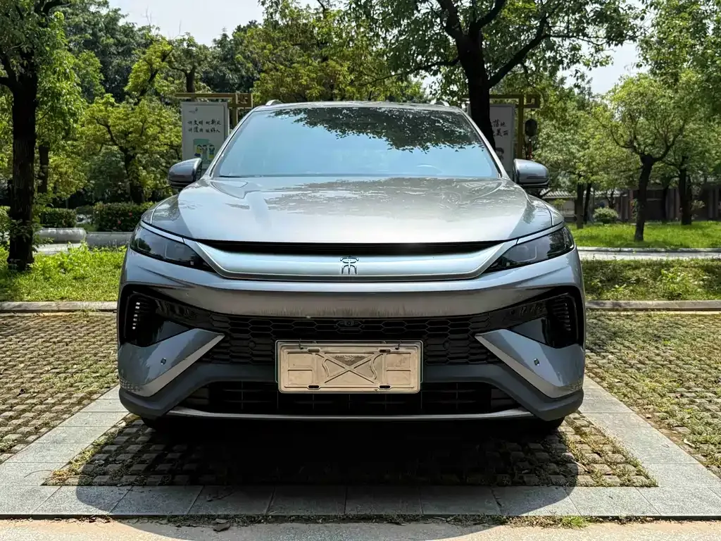 BYD Pro New Energy — фото 9