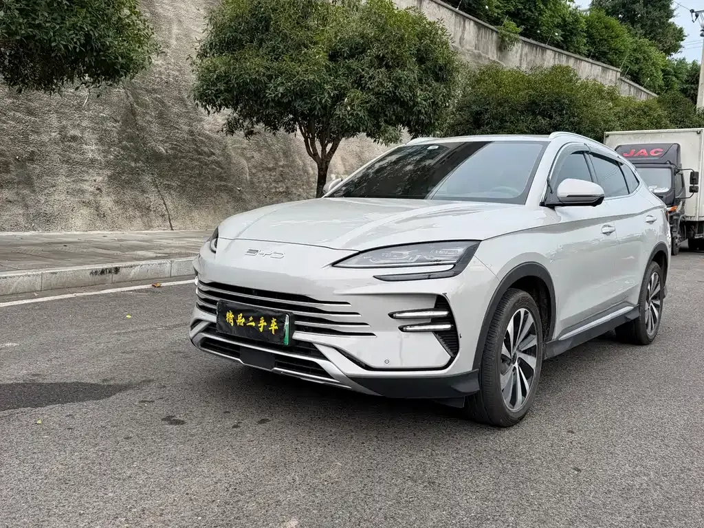 BYD PLUS New Energy — фото 1