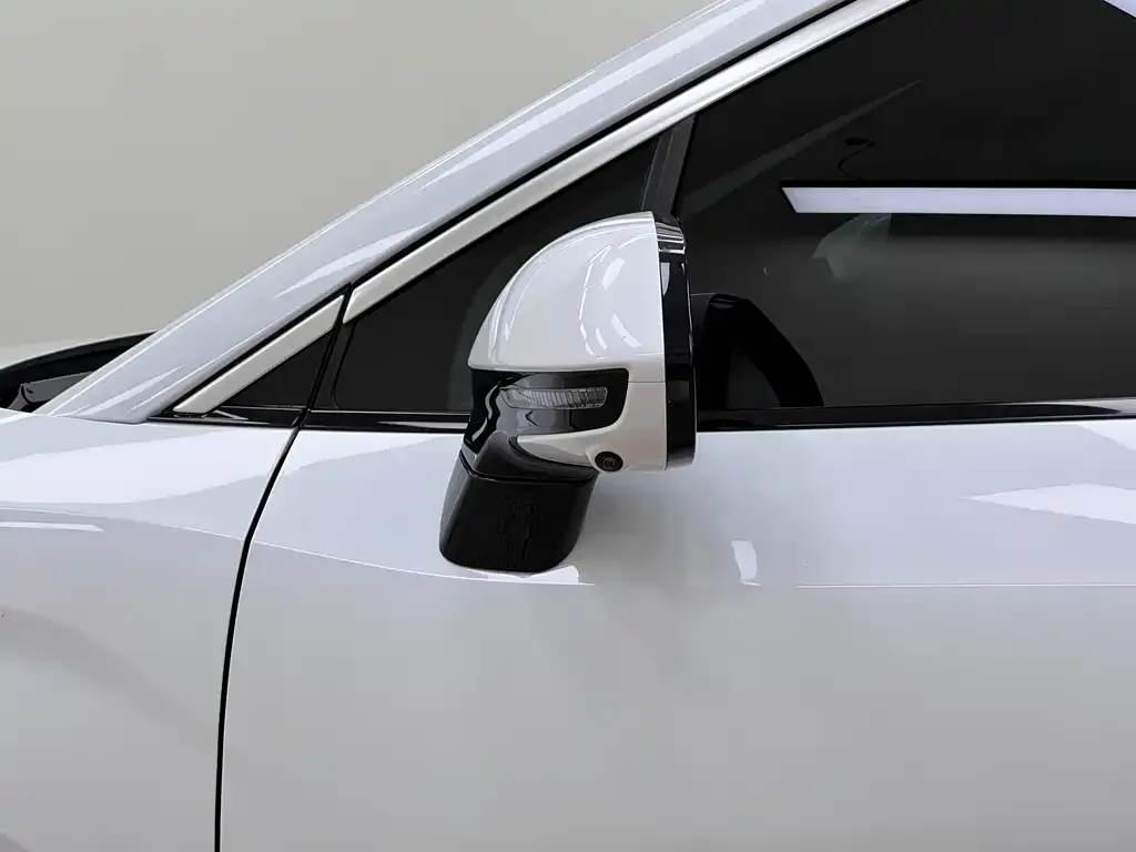 BYD L DM-i — фото 2