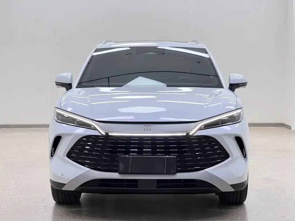 BYD L DM-i — фото 7