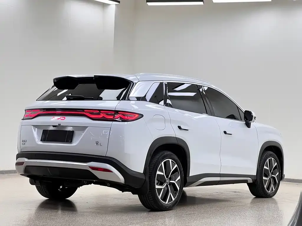 BYD L DM-i — фото 5
