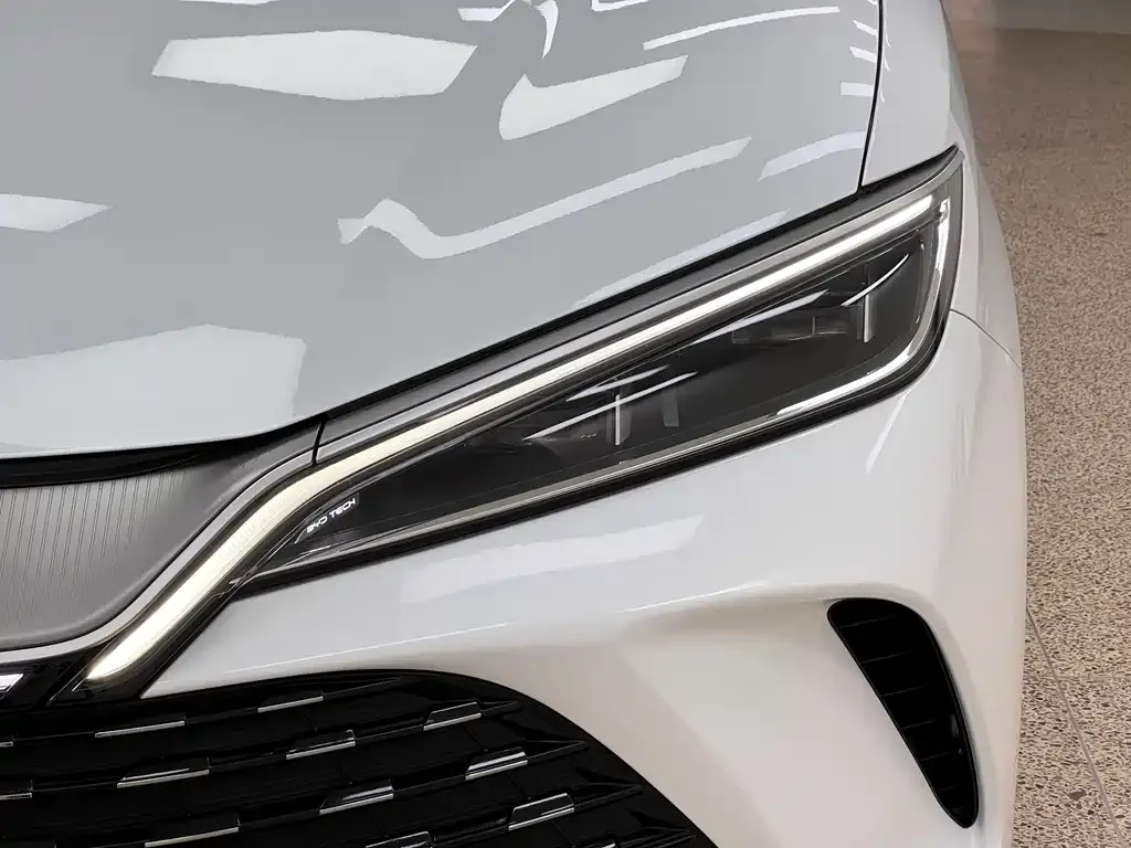 BYD L DM-i — фото 8