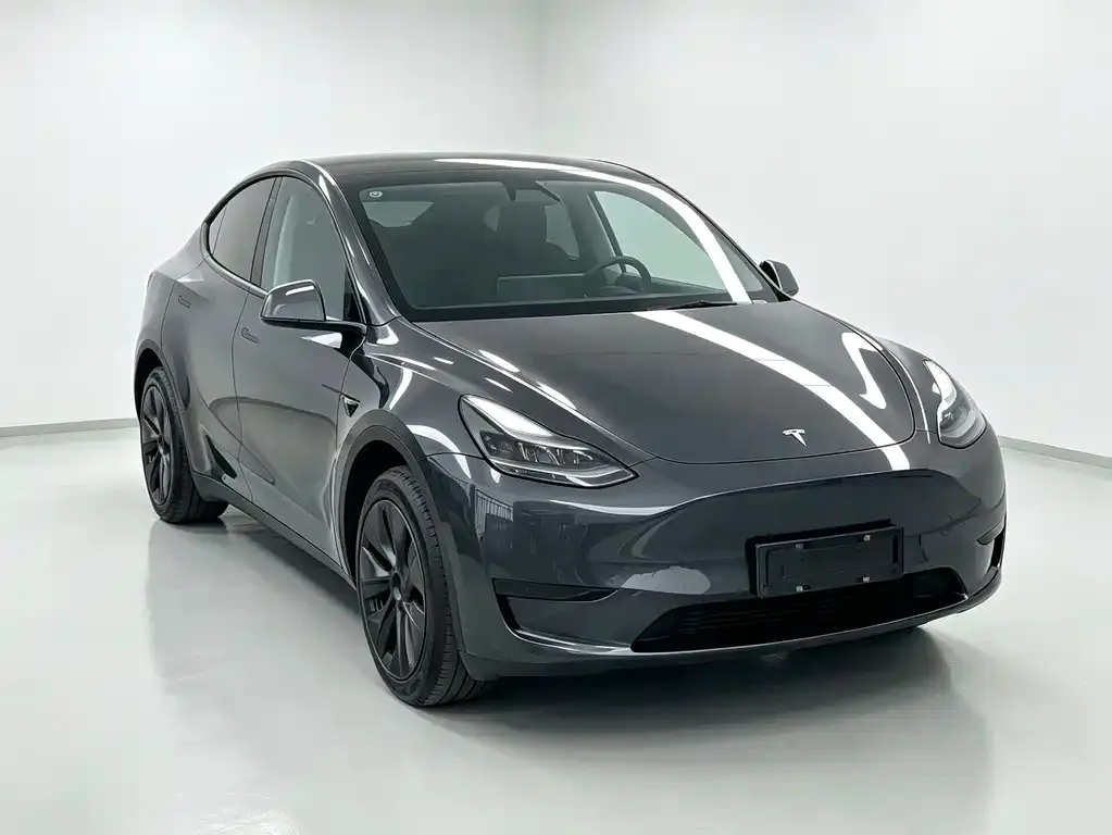 Tesla Model Y — фото 5