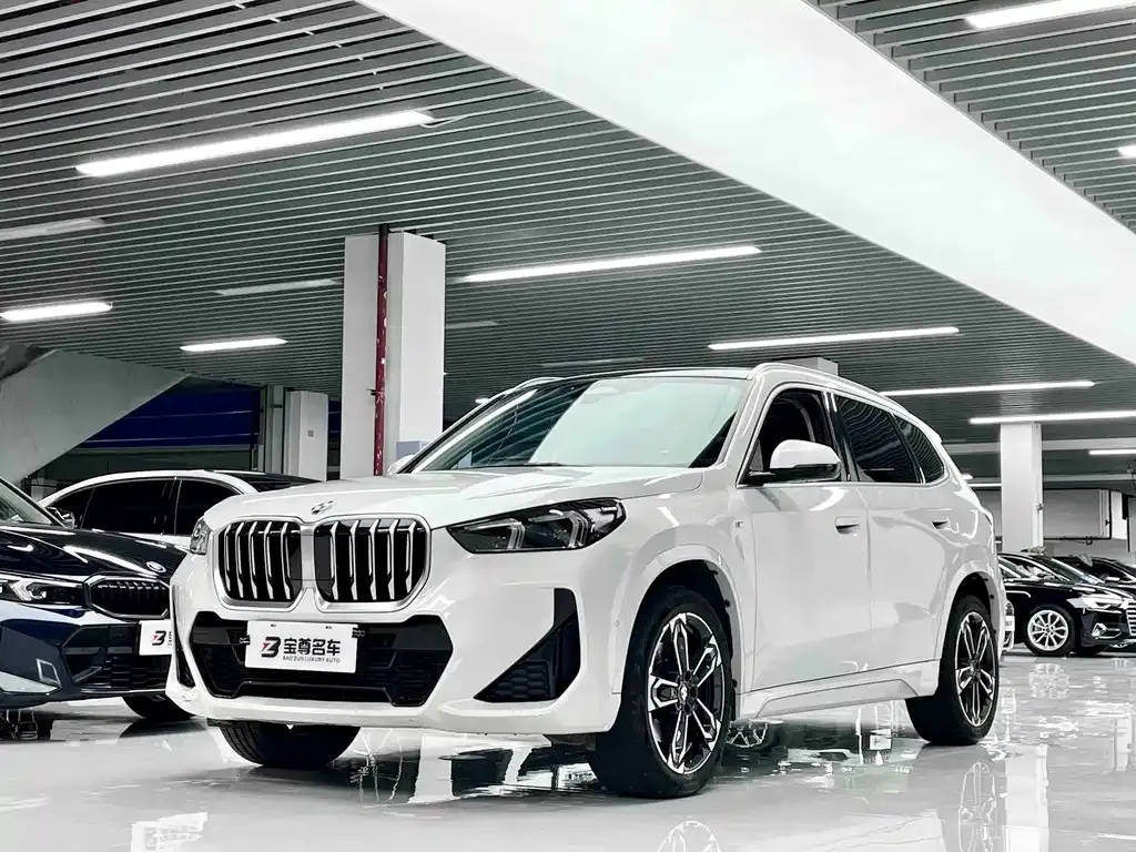 BMW X1 — фото 1