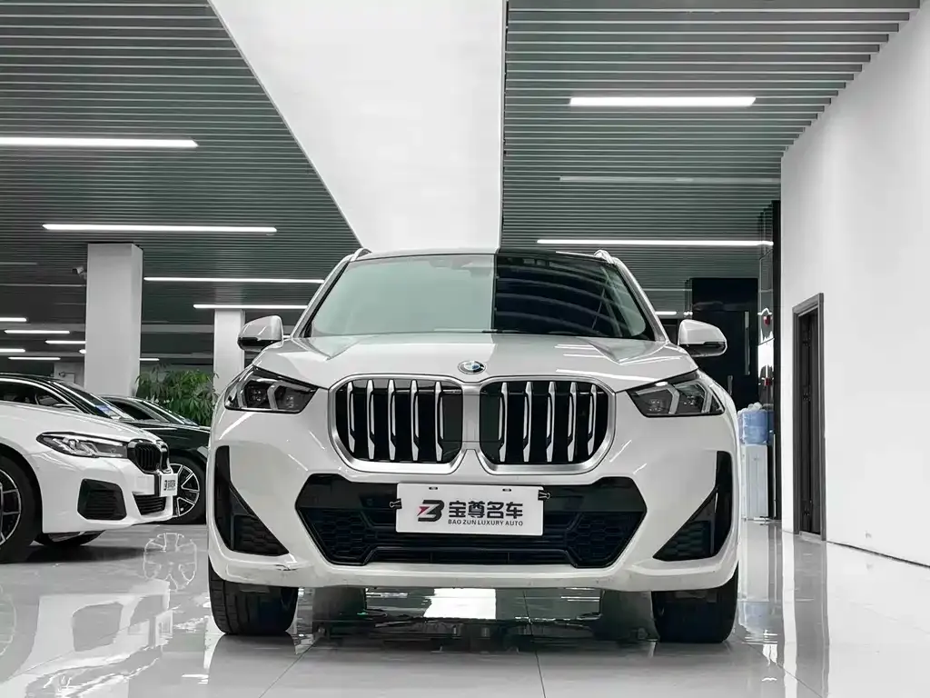 BMW X1 — фото 2
