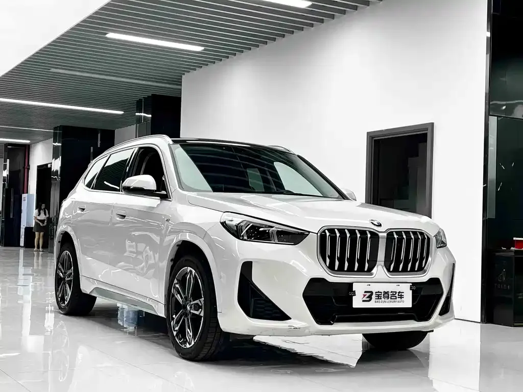 BMW X1 — фото 5