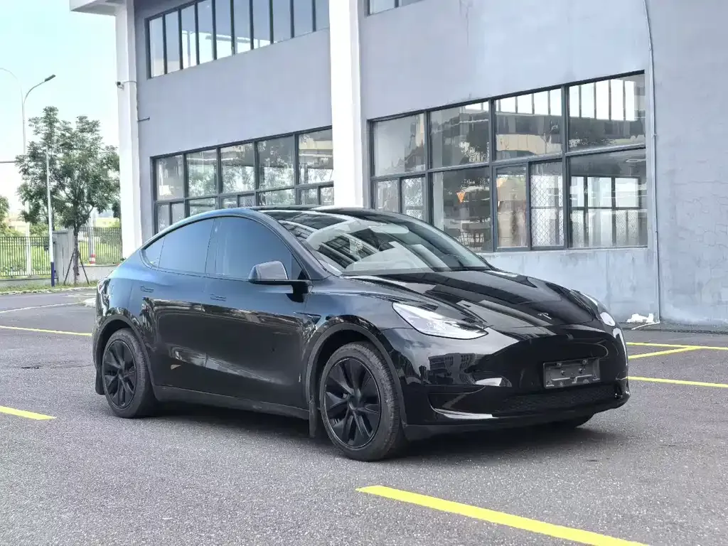 Tesla Model Y — фото 8