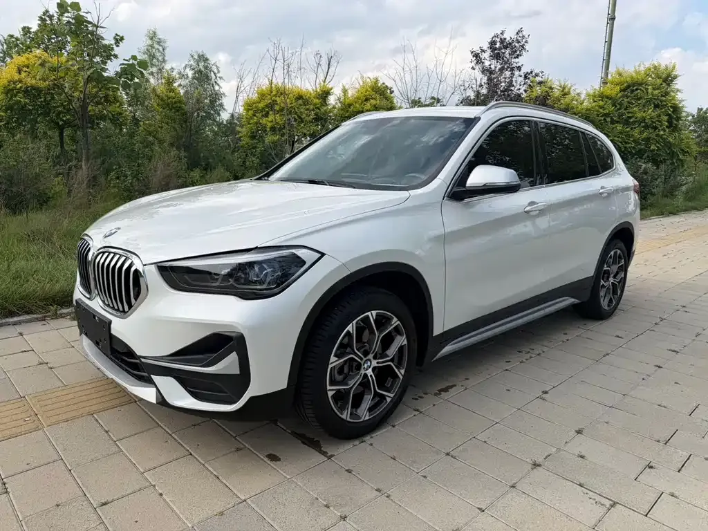 BMW X1 — фото 1