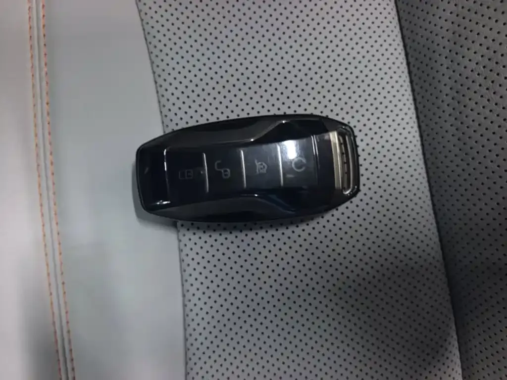 BYD PLUS New Energy — фото 2