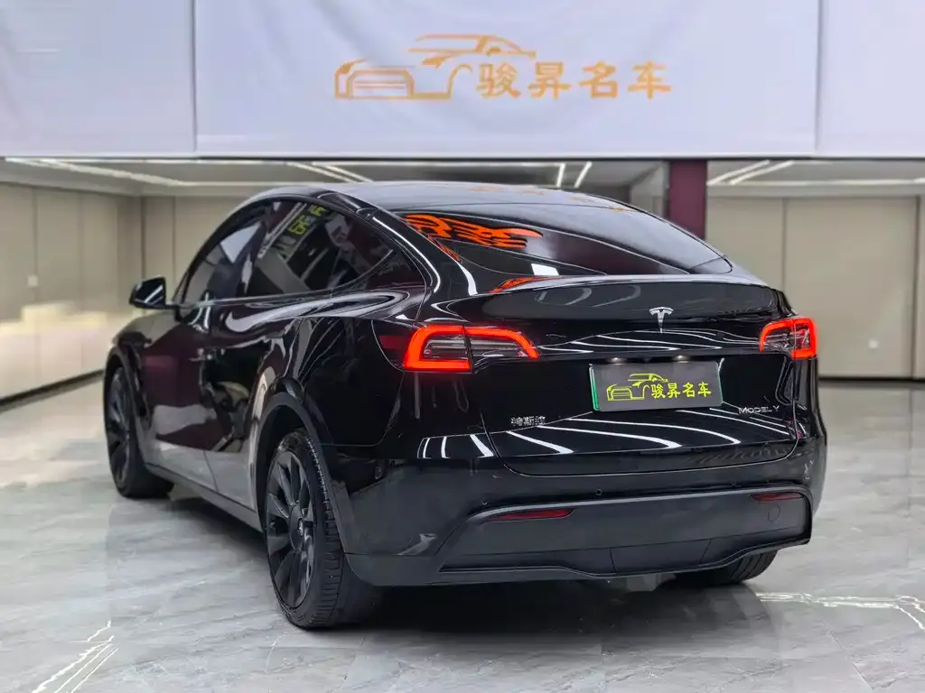 Tesla Model Y — фото 10