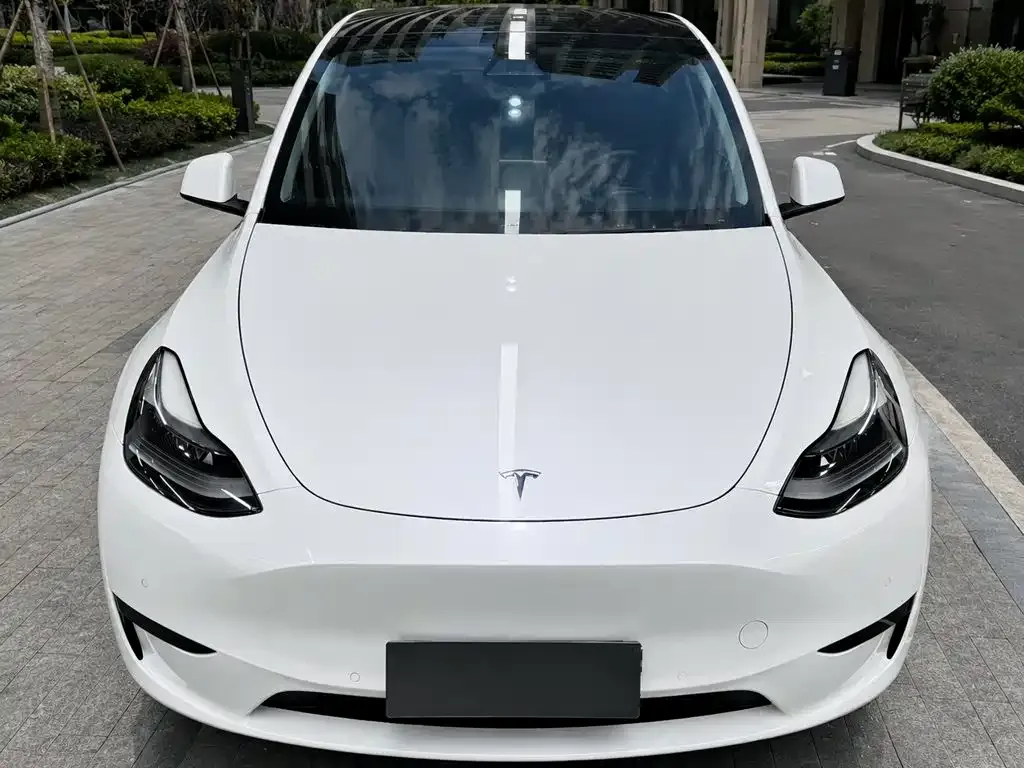 Tesla Model Y — фото 5