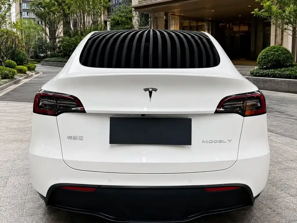 Tesla Model Y — фото 9