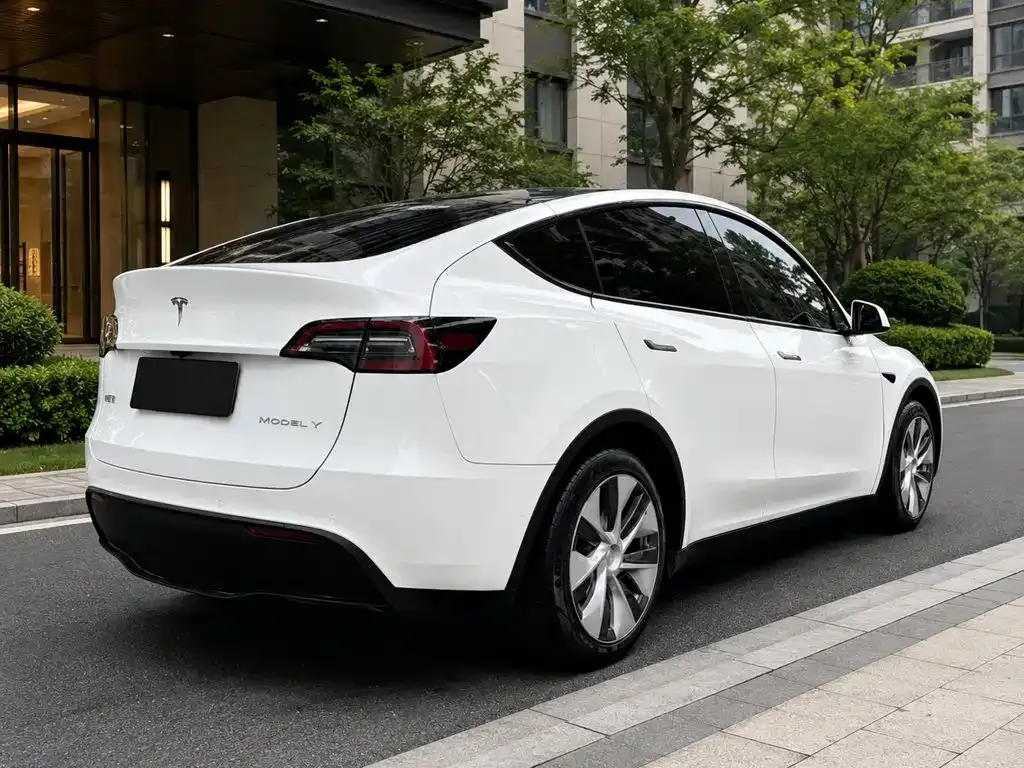 Tesla Model Y — фото 10