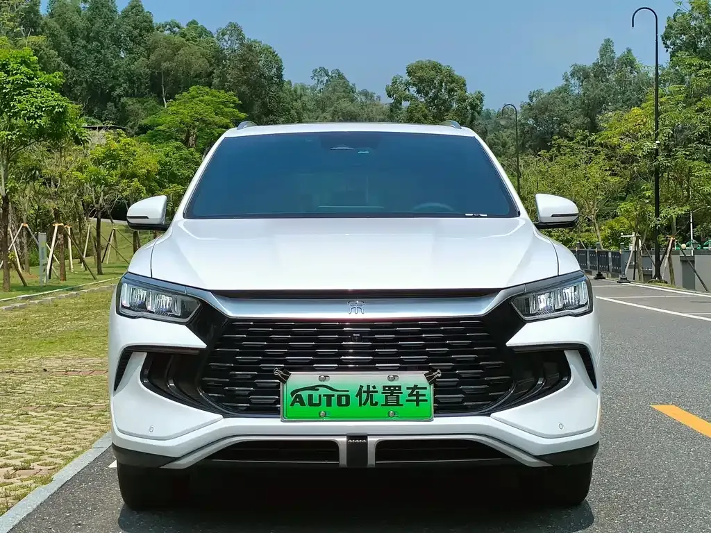BYD Pro New Energy — фото 9