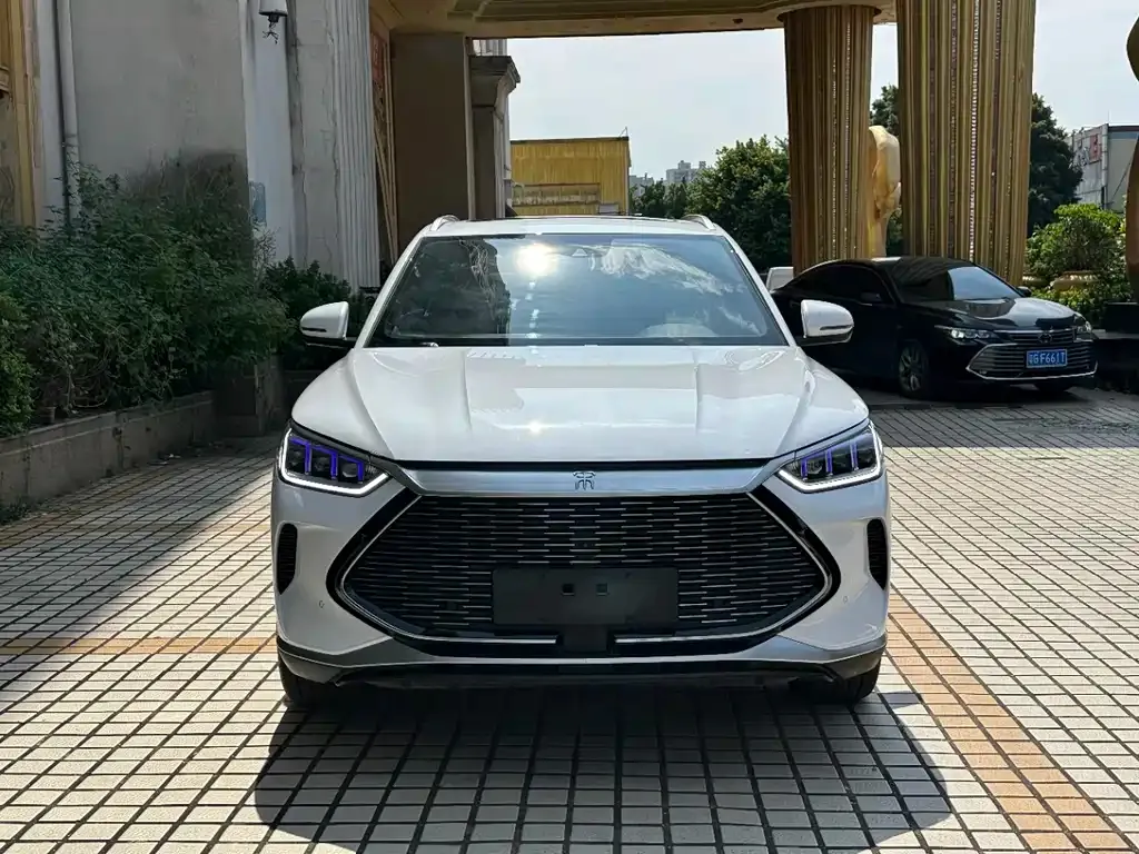 BYD PLUS New Energy — фото 6
