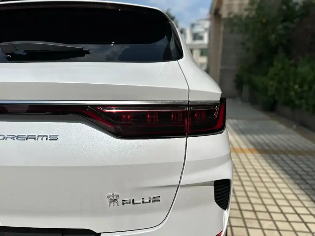 BYD PLUS New Energy — фото 3