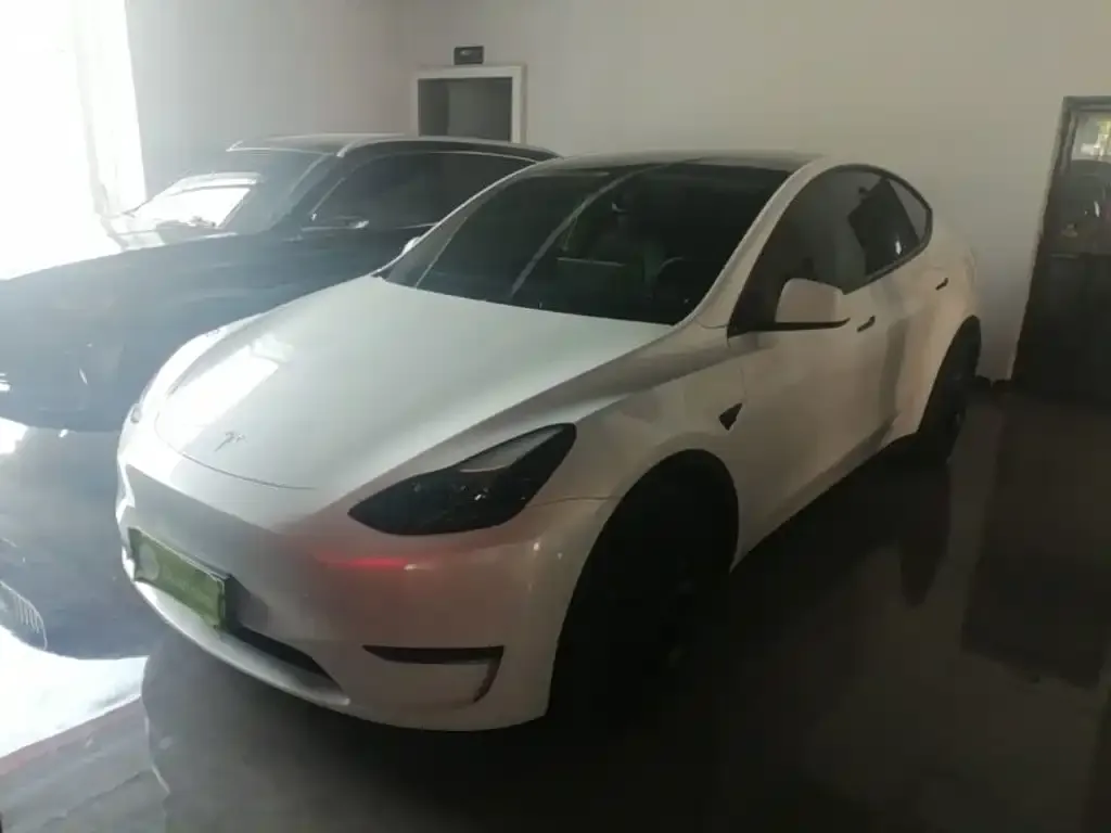 Tesla Model Y — фото 1