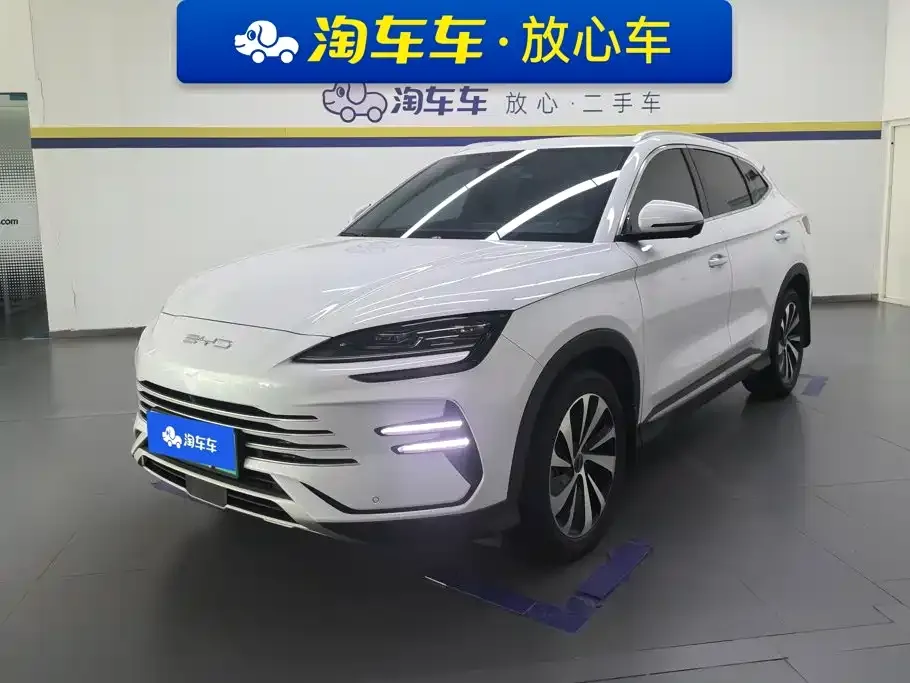 BYD PLUS New Energy — фото 1
