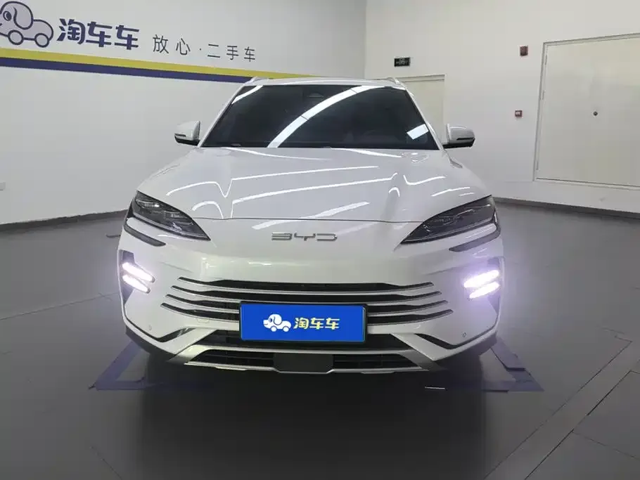 BYD PLUS New Energy — фото 8