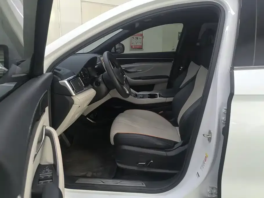 BYD PLUS New Energy — фото 10