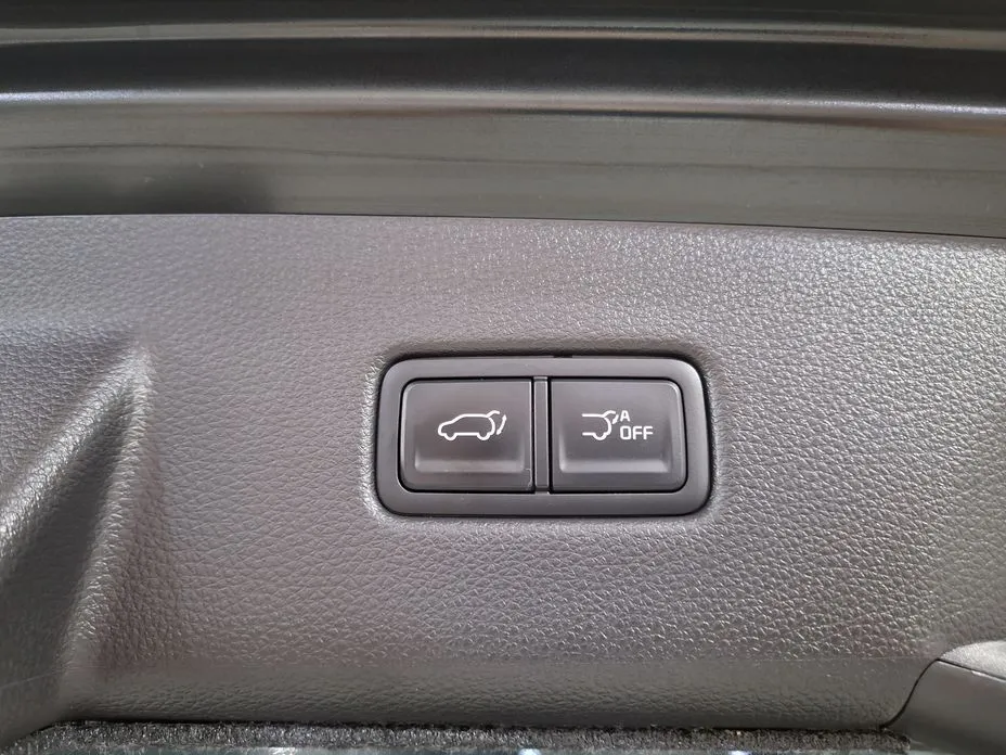 Kia Carnival — фото 10